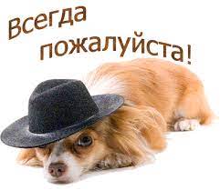https://upforme.ru/uploads/0000/0a/bc/4684/t833244.jpg