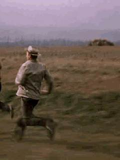 https://upforme.ru/uploads/0000/0a/f2/12684/364177.gif