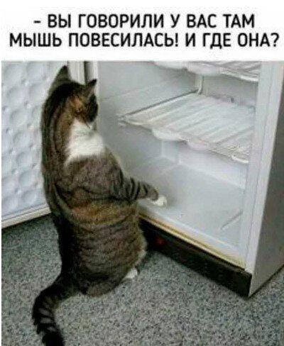 https://upforme.ru/uploads/0000/0a/f2/12716/931057.jpg