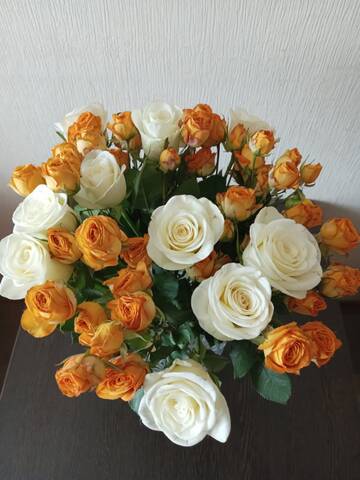 https://upforme.ru/uploads/0000/0a/f2/12716/t671653.jpg