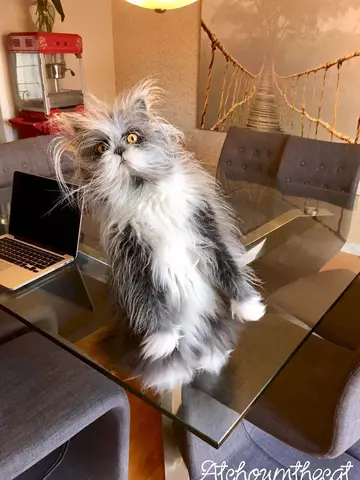 https://upforme.ru/uploads/0000/0a/f2/12716/t825487.webp