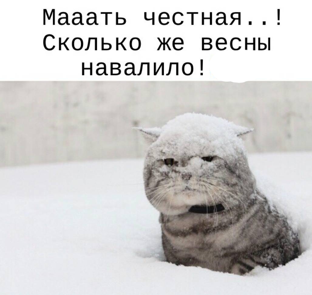 https://upforme.ru/uploads/0000/0a/f2/12789/142648.jpg