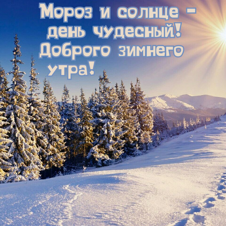 https://upforme.ru/uploads/0000/0a/f2/12789/403544.jpg