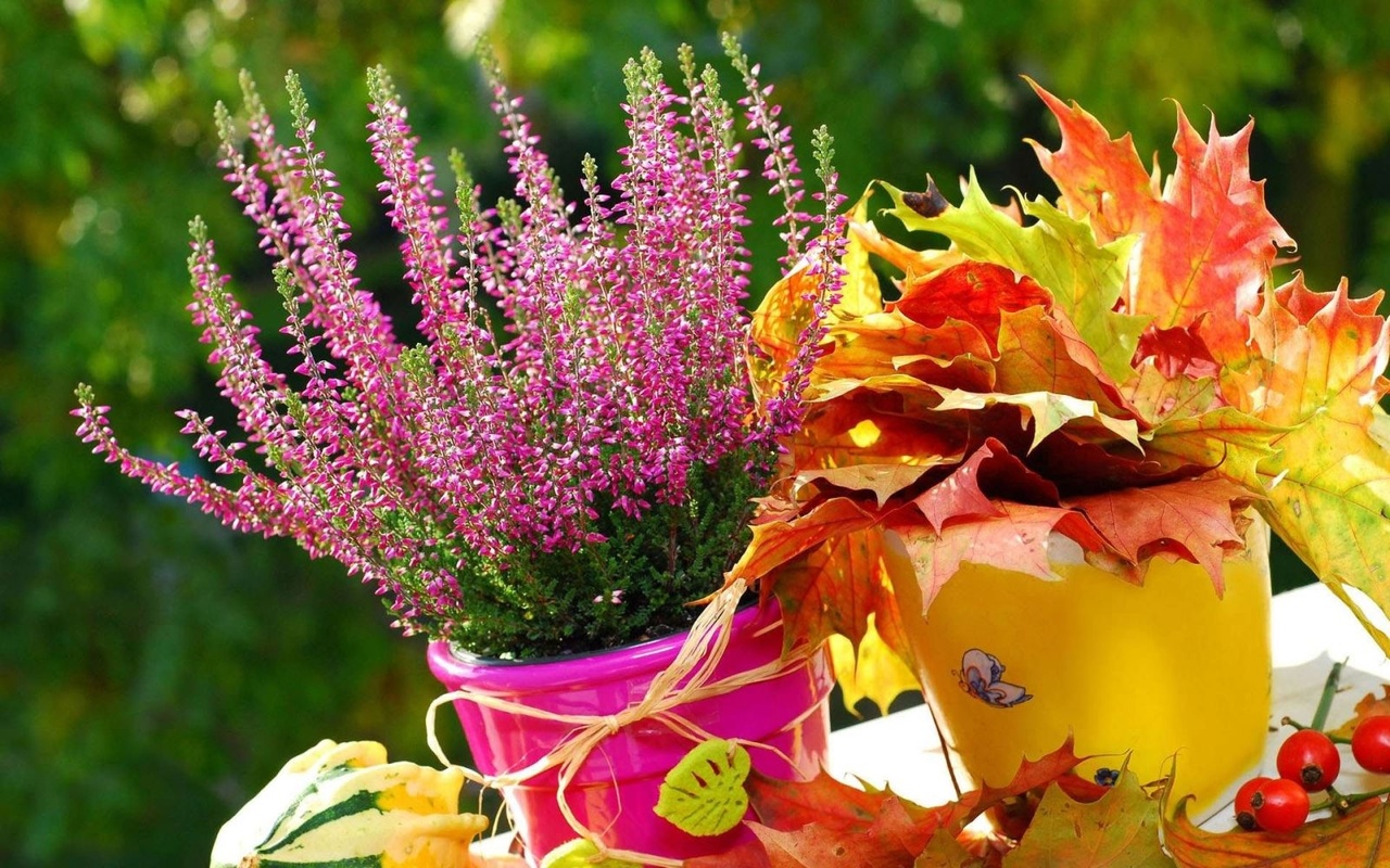 https://upforme.ru/uploads/0000/0a/f2/12789/669446.jpg