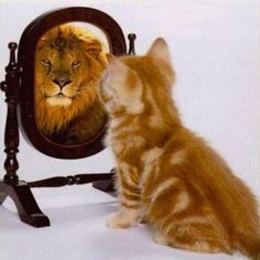 https://upforme.ru/uploads/0000/0a/f2/12789/746380.jpg