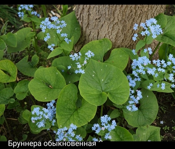 https://upforme.ru/uploads/0000/0a/f2/12789/902856.jpg