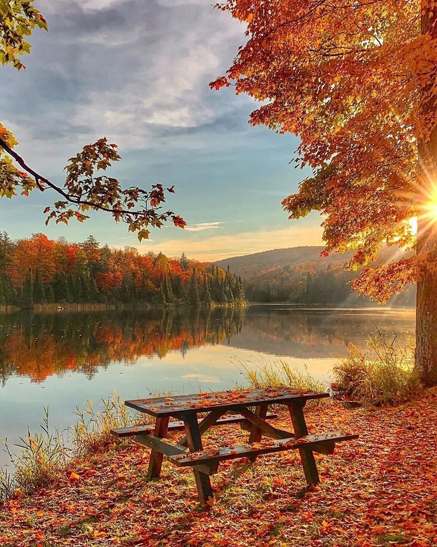 https://upforme.ru/uploads/0000/0a/f2/12789/958952.jpg