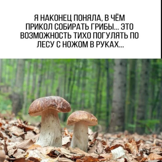 https://upforme.ru/uploads/0000/0a/f2/14642/454207.png