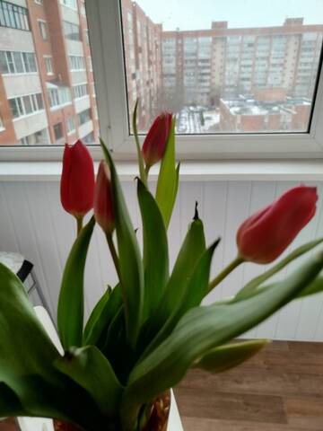https://upforme.ru/uploads/0000/0a/f2/19806/t239069.jpg