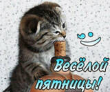 https://upforme.ru/uploads/0000/0b/36/2741/t950336.jpg