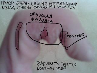 https://upforme.ru/uploads/0000/0b/b5/8572-1.jpg