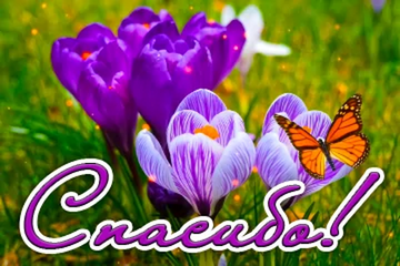 https://upforme.ru/uploads/0000/0c/52/2609/t738578.png