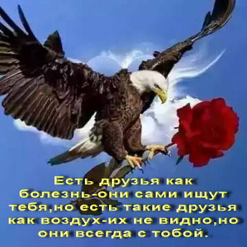 https://upforme.ru/uploads/0000/0c/52/2620/t395152.jpg