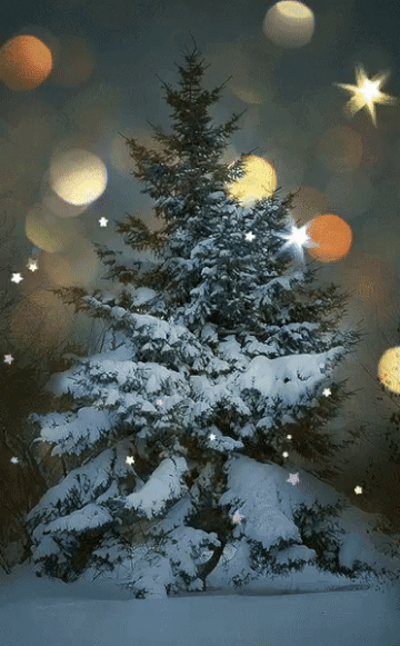 https://upforme.ru/uploads/0000/0c/61/2430/t399512.gif