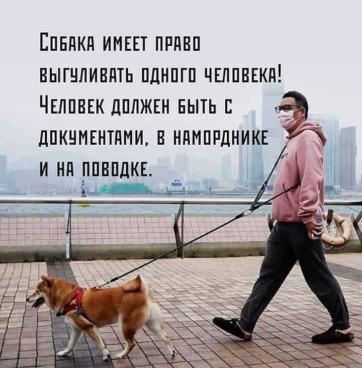 https://upforme.ru/uploads/0000/0c/61/2725/324546.jpg