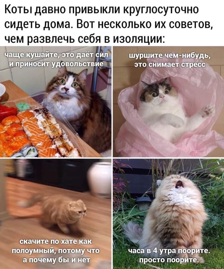 https://upforme.ru/uploads/0000/0c/61/2725/339259.jpg