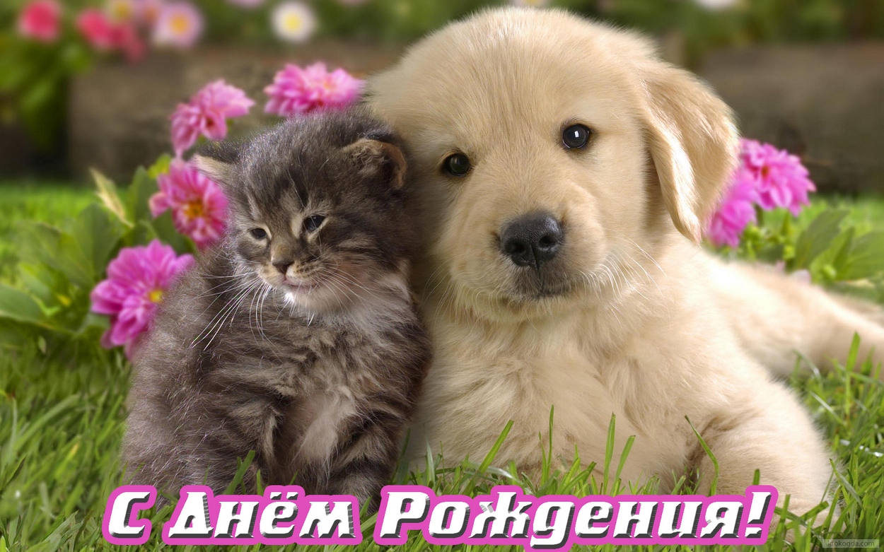 https://upforme.ru/uploads/0000/0c/61/2725/837083.jpg