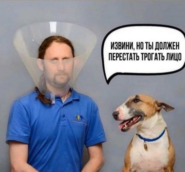 https://upforme.ru/uploads/0000/0c/61/2725/961392.jpg