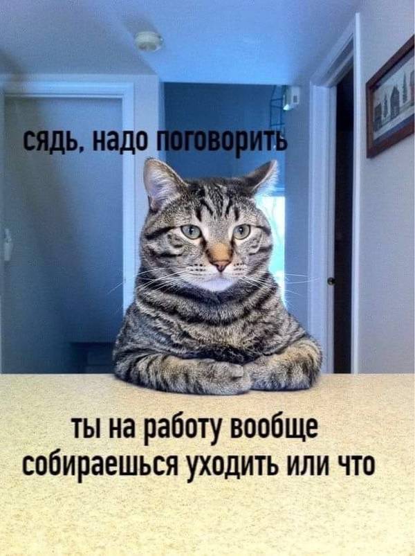 https://upforme.ru/uploads/0000/0c/61/566/t105643.jpg