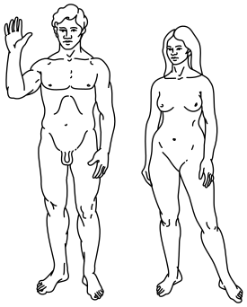 https://upforme.ru/uploads/0000/0c/61/566/t413353.png
