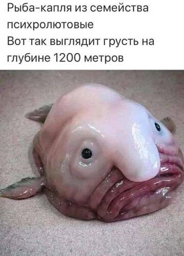 https://upforme.ru/uploads/0000/0e/c7/1480/t794317.jpg