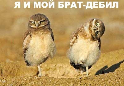 https://upforme.ru/uploads/0000/0e/d2/5230-1-f.jpg