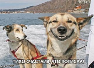 https://upforme.ru/uploads/0000/10/02/2070-1.jpg