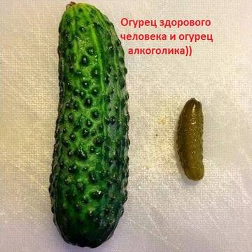 https://upforme.ru/uploads/0000/11/9f/296/t442964.jpg