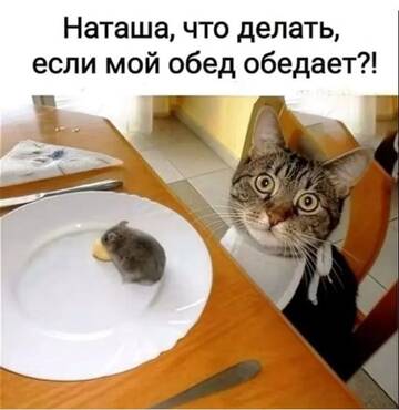 https://upforme.ru/uploads/0000/11/e5/2/t131777.jpg
