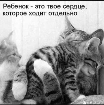 https://upforme.ru/uploads/0000/11/e5/2/t148985.jpg