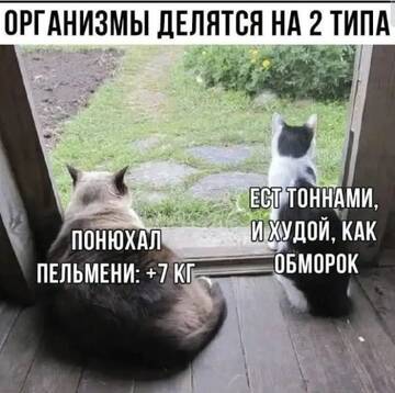 https://upforme.ru/uploads/0000/11/e5/2/t155537.jpg
