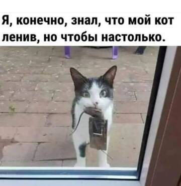 https://upforme.ru/uploads/0000/11/e5/2/t156551.jpg