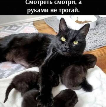 https://upforme.ru/uploads/0000/11/e5/2/t160685.jpg