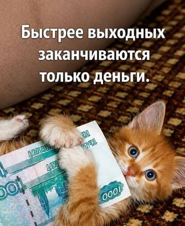 https://upforme.ru/uploads/0000/11/e5/2/t198275.jpg