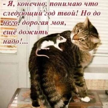 https://upforme.ru/uploads/0000/11/e5/2/t210297.jpg