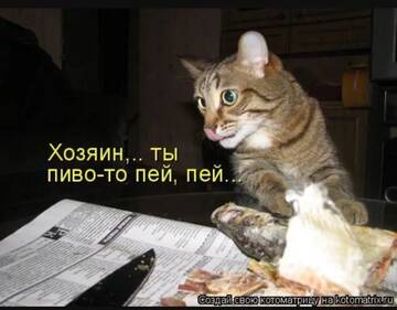 https://upforme.ru/uploads/0000/11/e5/2/t282694.jpg