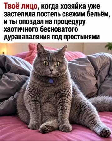 https://upforme.ru/uploads/0000/11/e5/2/t288544.jpg