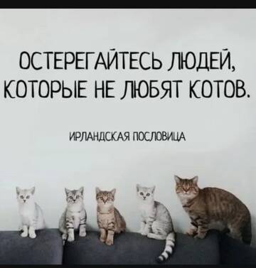 https://upforme.ru/uploads/0000/11/e5/2/t336326.jpg