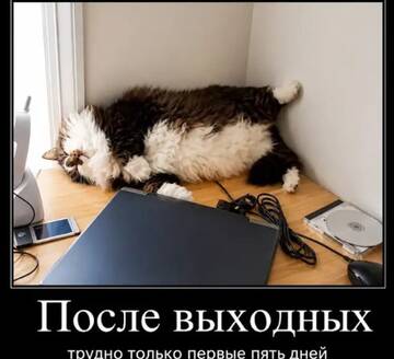 https://upforme.ru/uploads/0000/11/e5/2/t33899.jpg
