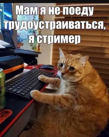 https://upforme.ru/uploads/0000/11/e5/2/t344432.jpg