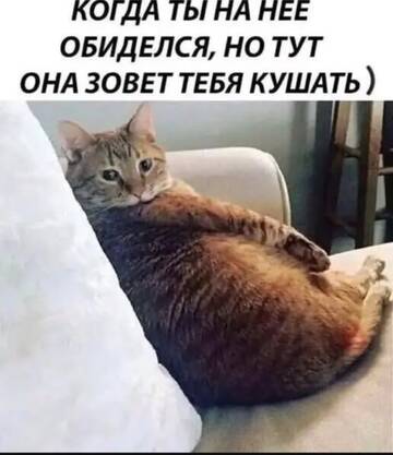 https://upforme.ru/uploads/0000/11/e5/2/t365897.jpg