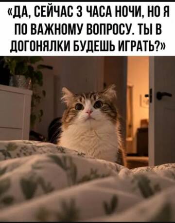 https://upforme.ru/uploads/0000/11/e5/2/t415944.jpg