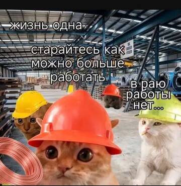 https://upforme.ru/uploads/0000/11/e5/2/t433576.jpg