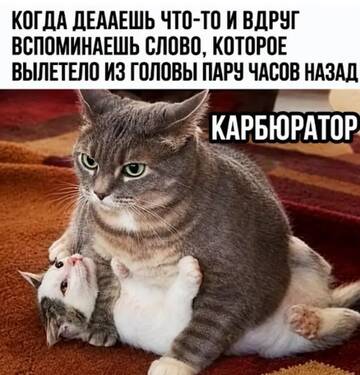 https://upforme.ru/uploads/0000/11/e5/2/t454599.jpg
