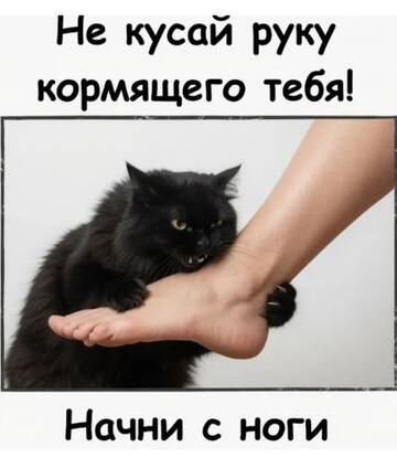 https://upforme.ru/uploads/0000/11/e5/2/t47782.jpg