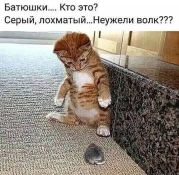 https://upforme.ru/uploads/0000/11/e5/2/t54571.jpg