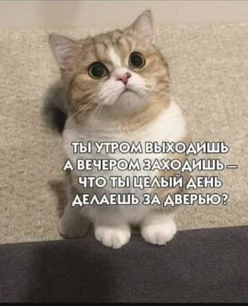 https://upforme.ru/uploads/0000/11/e5/2/t549356.jpg