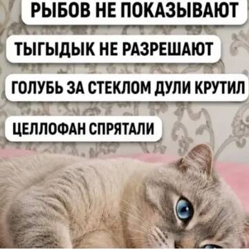 https://upforme.ru/uploads/0000/11/e5/2/t555527.jpg