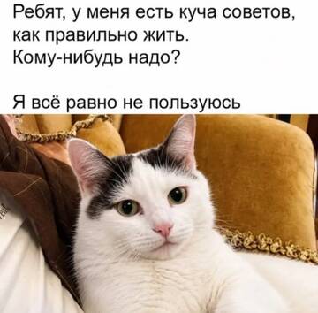https://upforme.ru/uploads/0000/11/e5/2/t557980.jpg
