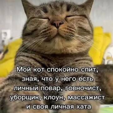 https://upforme.ru/uploads/0000/11/e5/2/t620734.jpg